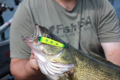 Summer Walleye Caught With Silver Streak  Mini Spoon