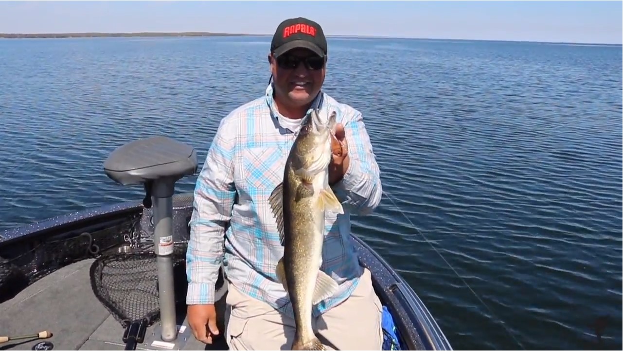 Walleye Caught with Rapala Rippin' Rap