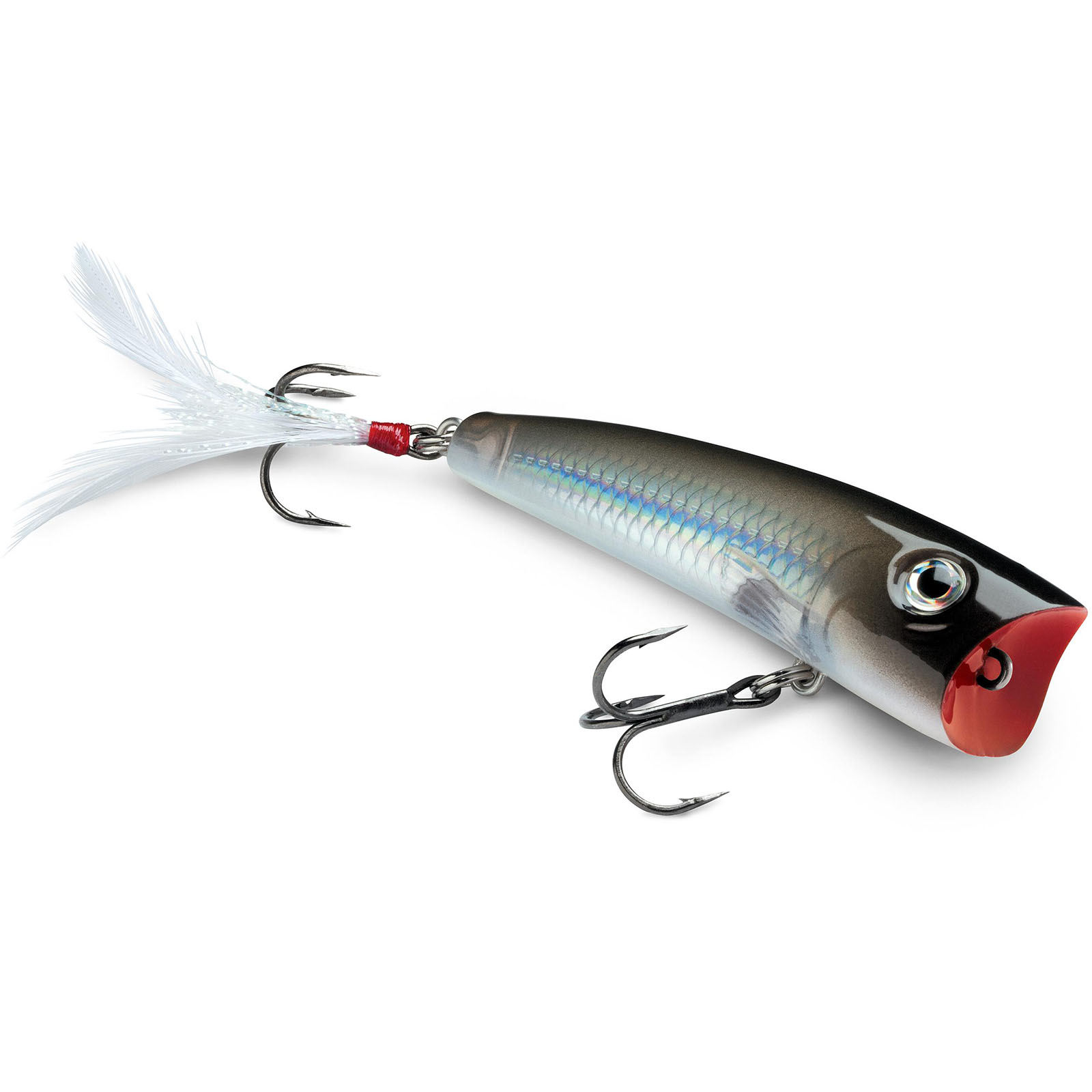 Rapala X-Rap Pop - FishUSA