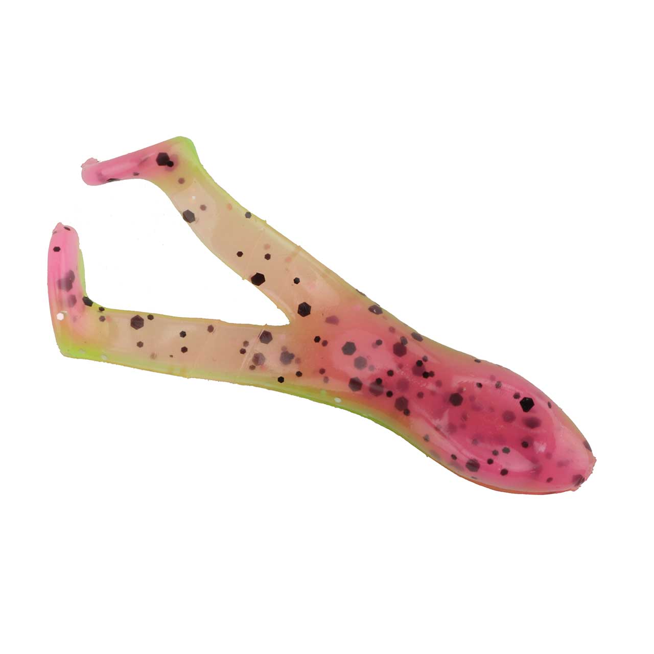 Frog Factory Ribbit Runt | FishUSA