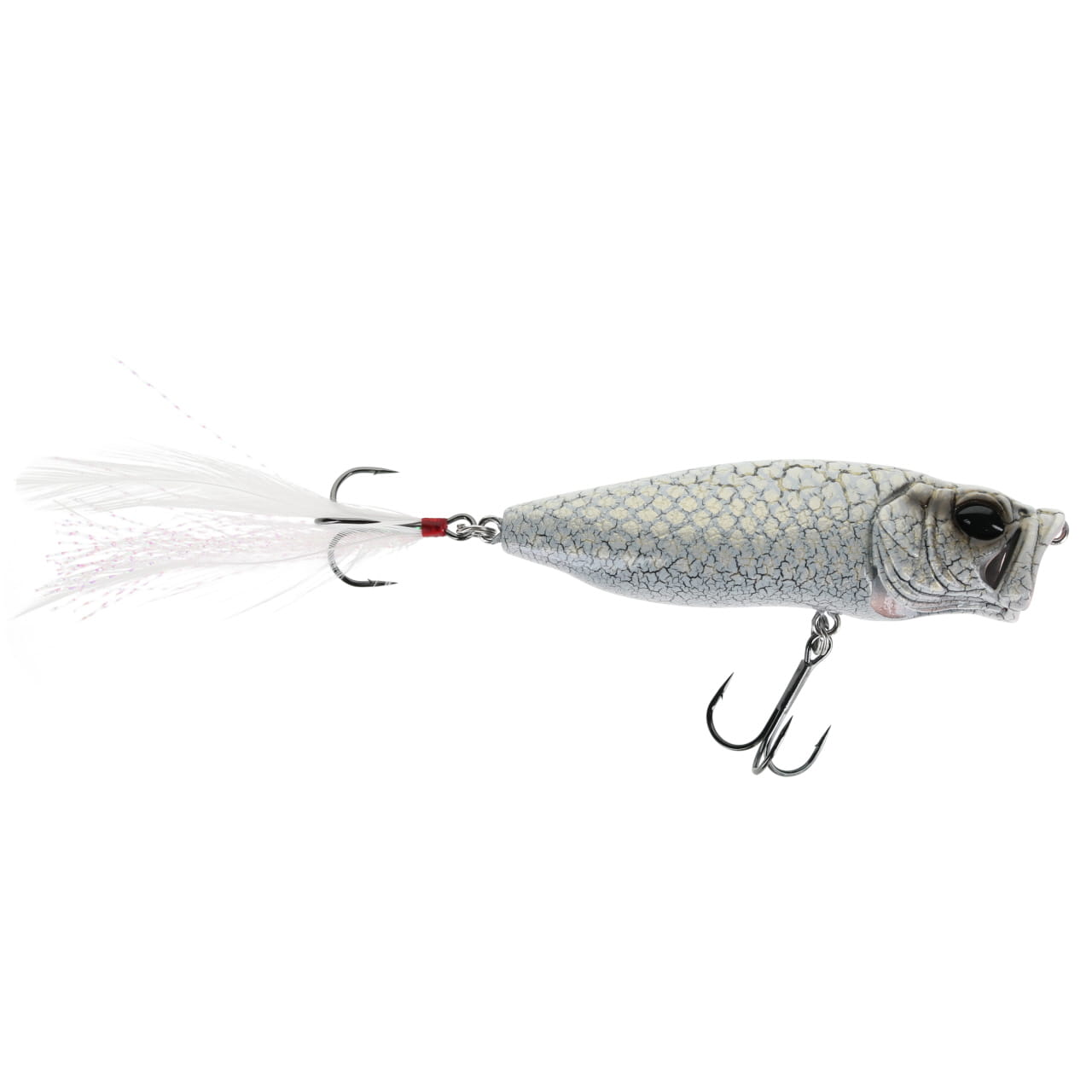 ルアー・フライ Megabass WHITE PYTHON Amazon.com : Megabass POP-X Topwater - USA White Python