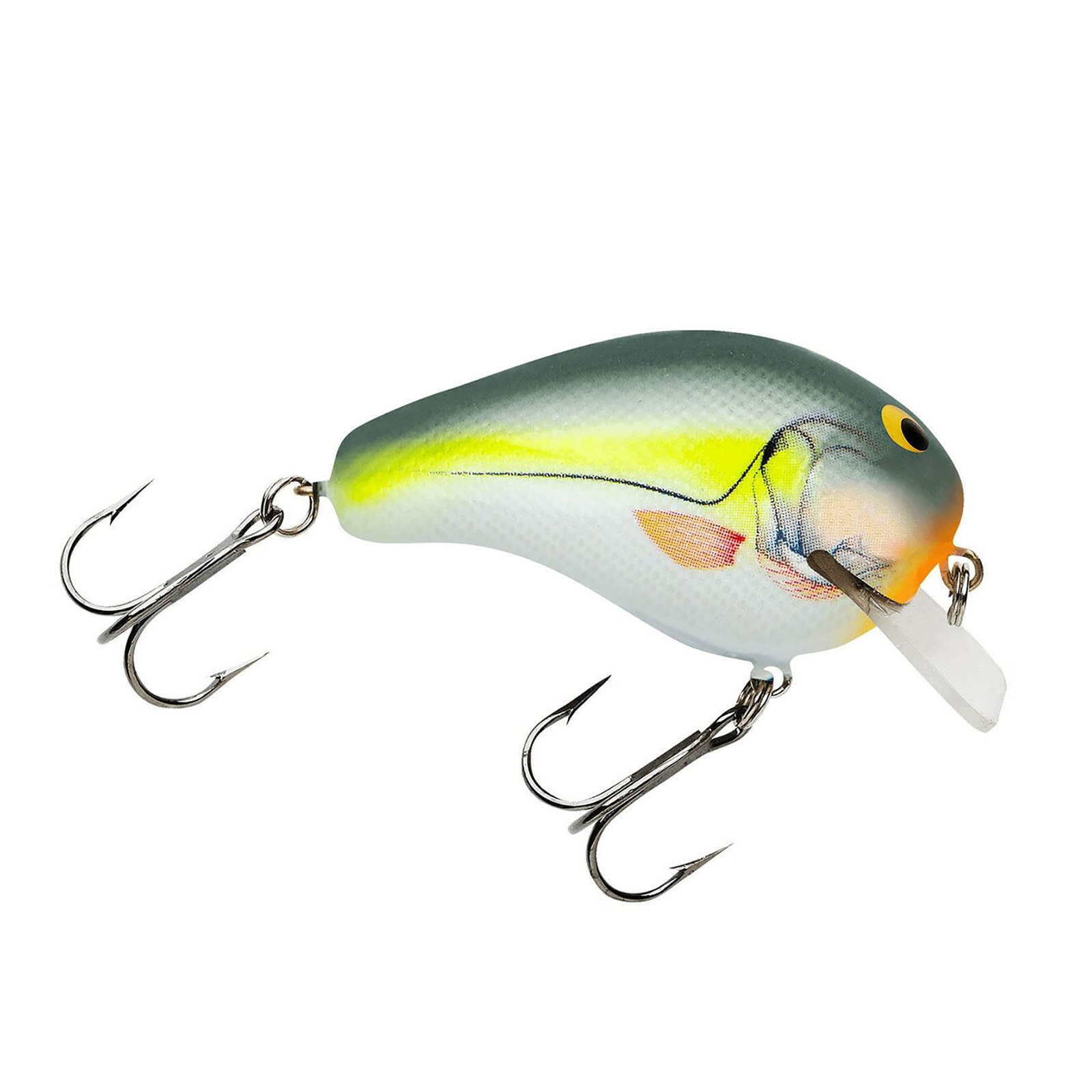 Bagley Balsa B Color Sexy Shad Size 2 in