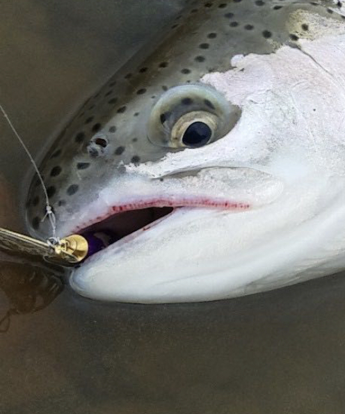What are the Best Trout Lures? The 7 Best Trout Lures - FishUSA