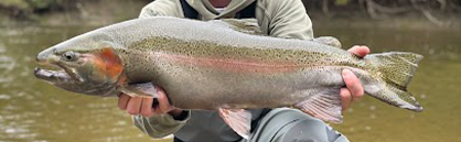 Changing Floats based on Water Type - Spring Steelhead - Manistee