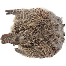 Wapsi Hungarian Partridge Whole Skin