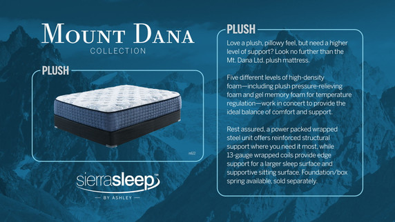 Mt Dana - Plush Mattress, Adjustable Base