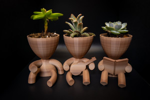 Succulent Planter Set