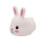 BUNNY LIGHT