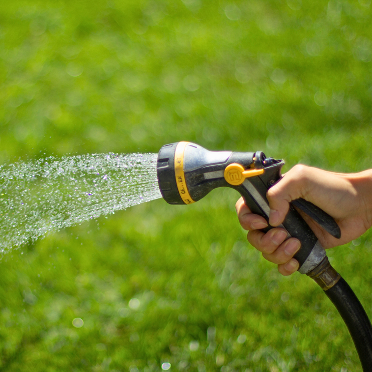 How Often to Water Your Lawn in Australia (By State & Season)