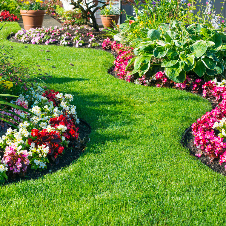 9 Pro Tips for a Thriving Spring Garden