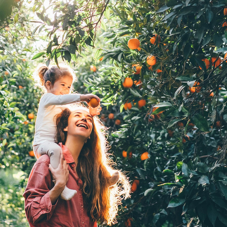 Your Citrus Trees Are Hungry &  So Are The Bugs!