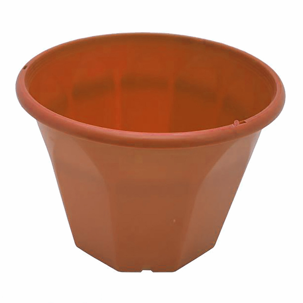 Hanging Baskets The Garden Superstore