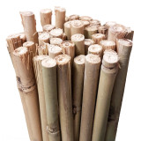 Bamboo Stakes 105cm