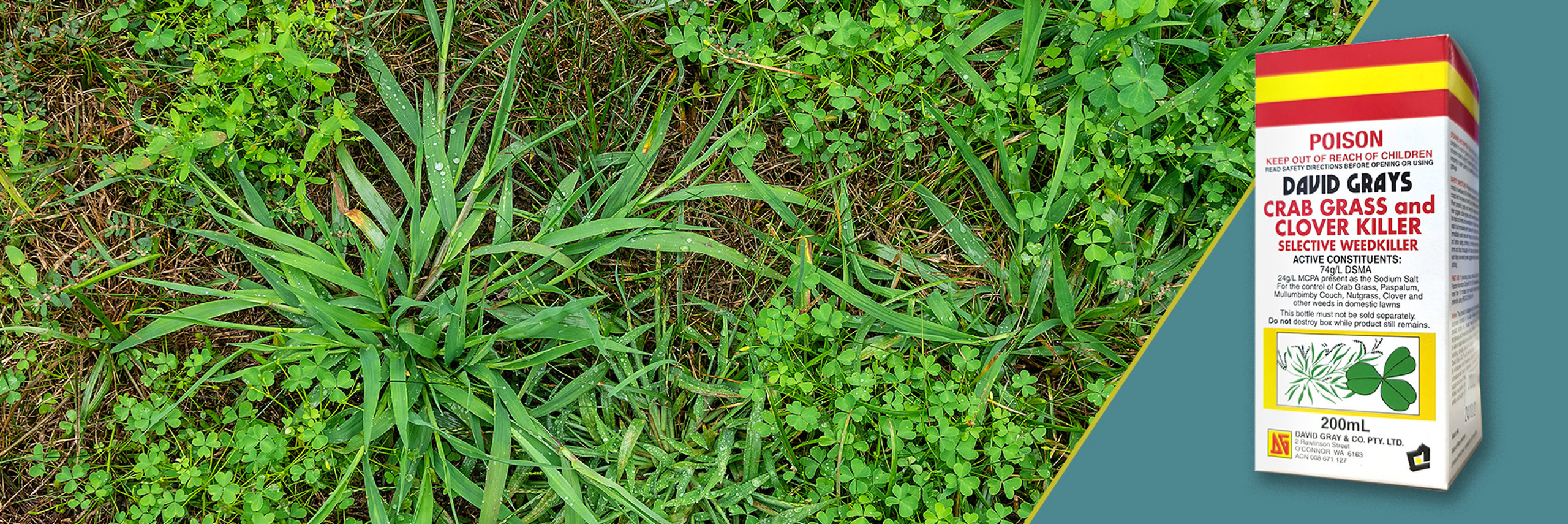 Battling Weeds How to Deal With Crab Grass, Clover & Other Weeds in