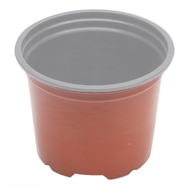 Pot 9cm TC Squat  9cmØ x 6.8cm  300mL -  The Garden Superstore