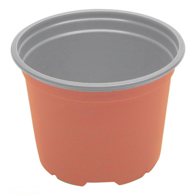 Pot 13cm Squat 13cmØ x 9.6cm  885mL -  The Garden Superstore