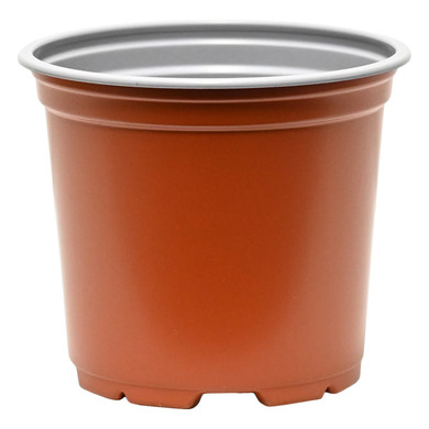 Pot 10.5cm Regular 10.5cmØ x 9cm  510mL -  The Garden Superstore