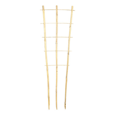 Bamboo Plant Trainer 90cm -  The Garden Superstore