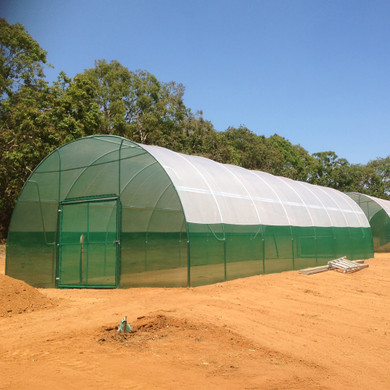 6m Wide Classic Tunnelhouse 6m Wide Classic Tunnelhouse