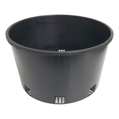 Orchid Pot Black  250mmØ x 150mm -  The Garden Superstore