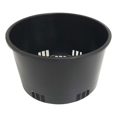 Orchid Pot Black  125mmØ x 75mm -  The Garden Superstore