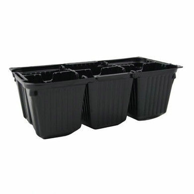 NM Metric Punnet Black - 6 Cell -  The Garden Superstore