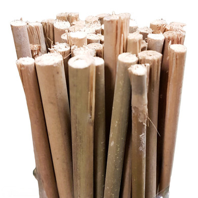 Bamboo Stakes 60cm -  The Garden Superstore