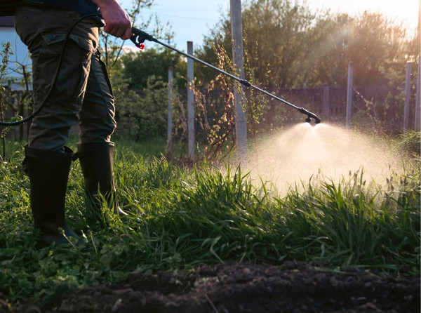 When to Apply Pre-Emergent in Australia: Why the Calendar Is Wrong, and Soil Temperature Isn't