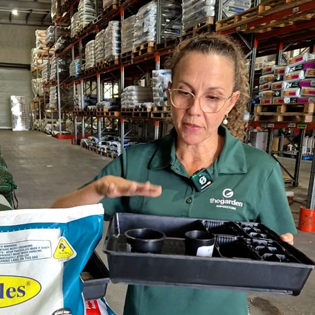 Autumn Gardening 101: Tips for Veggie Garden Success