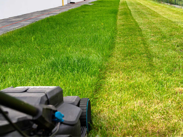 Your September Lawn Reset: The 5 Jobs That Set Up the Whole Season