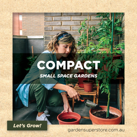 Container Gardening: Perfect for Small Spaces and Balconies