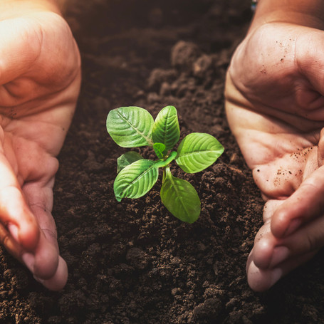 Prepare Your Soil For New Planting