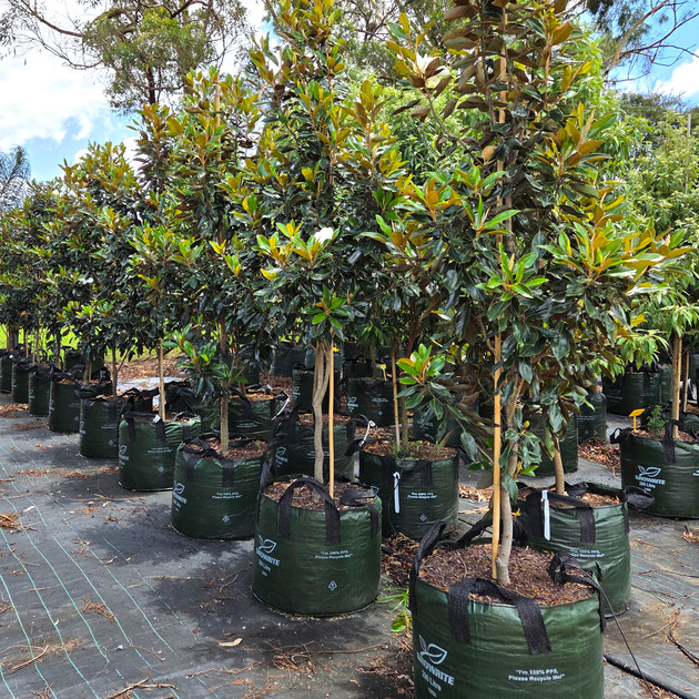 XHD Woven Plastic Plant Bag with 4 Handles, 200L