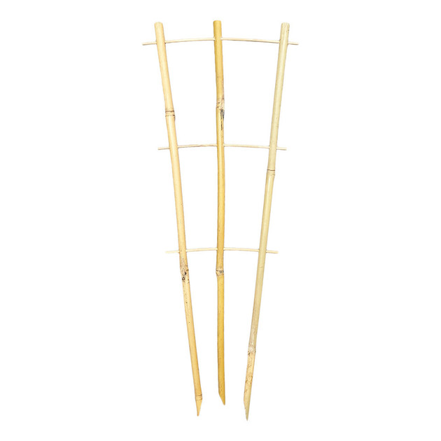 Bamboo Plant Trainer 45cm -  The Garden Superstore