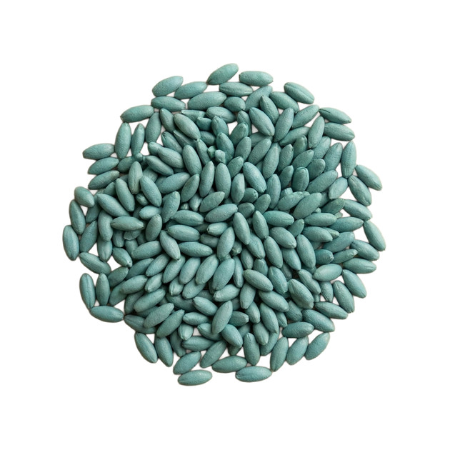 Qld Blue Couch Envirogro Coated Grass Seed