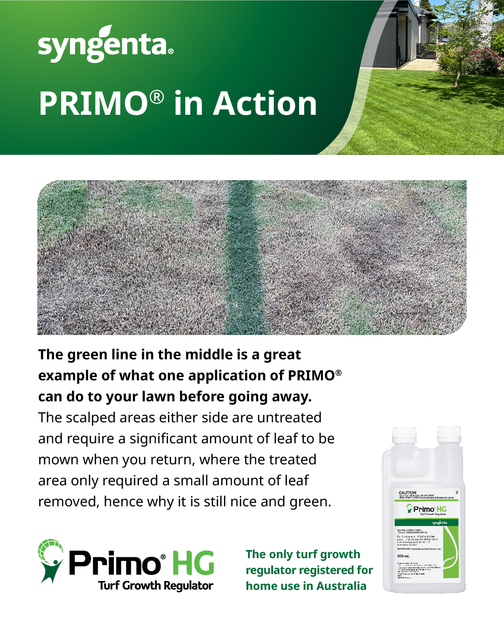 Primo HG | Turf Growth Regulator Primo HG | Turf Growth Regulator
