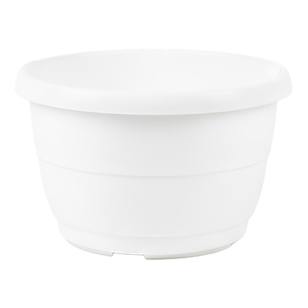 Hanging Baskets | 200mm