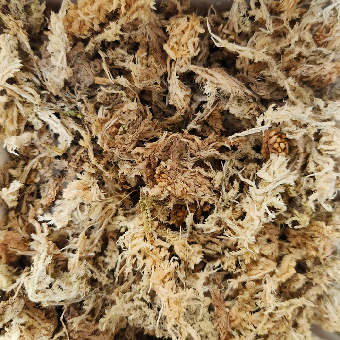 Sphagnum Moss Gold Grade