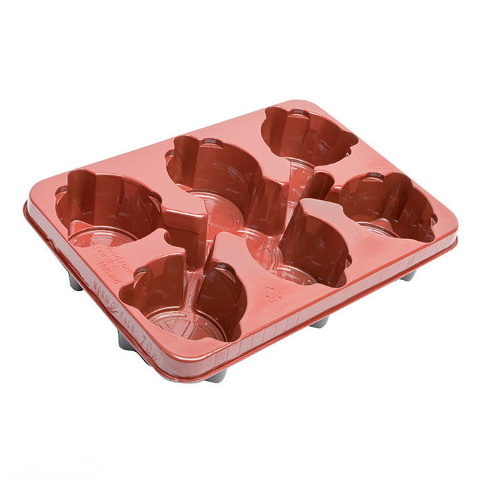 Norm Pack T/Cotta (Holds 6 x 12cm Pots) -  The Garden Superstore