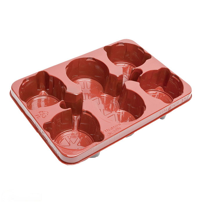 Norm Pack T/Cotta (Holds 6 x 13cm Pots) -  The Garden Superstore