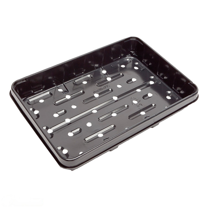 Black Open Seedling Tray 400 x 280mm -  The Garden Superstore