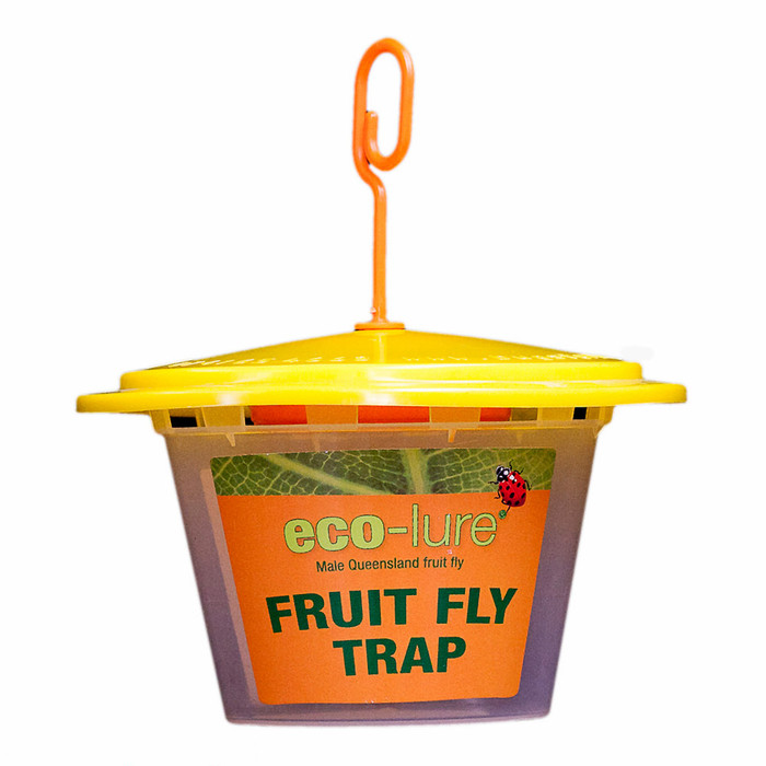Eco Male Fruit Fly Trap -  The Garden Superstore