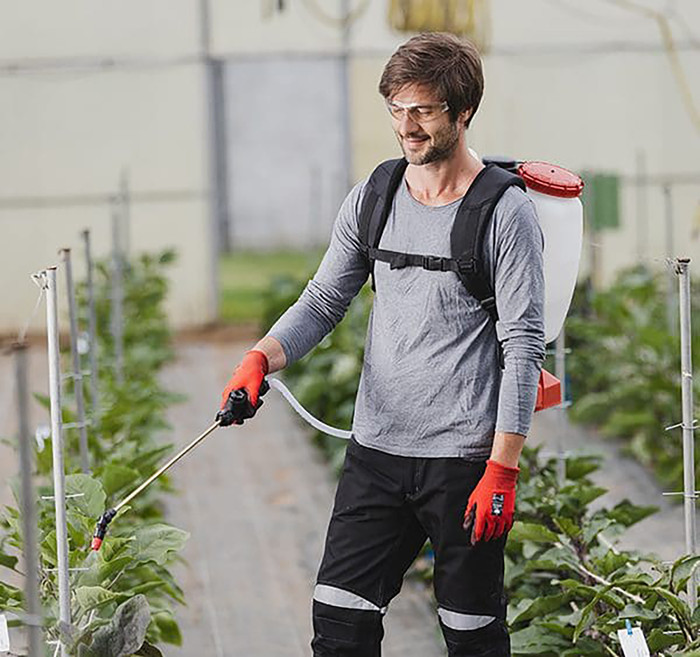 Solo 441Li | 16 Litre Battery Operated Sprayer