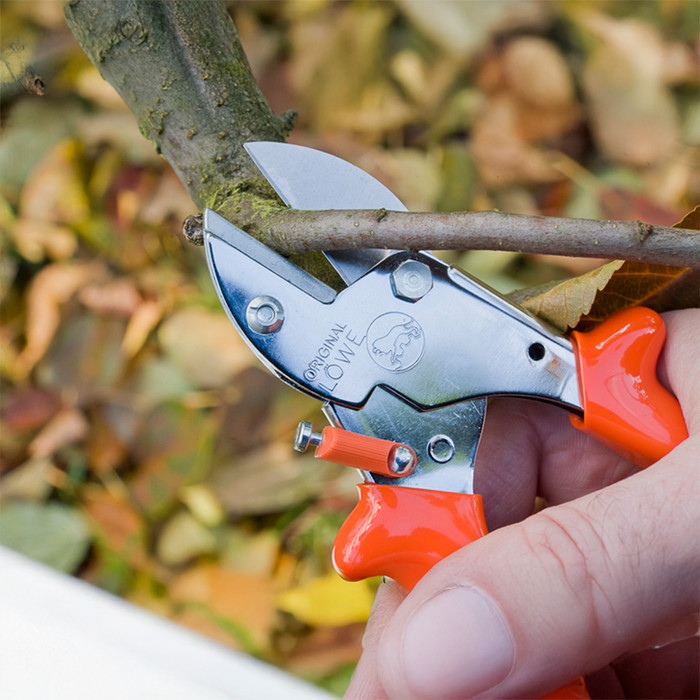 Lowe 5 Easy-Cut 5.104 | Anvil Pruner