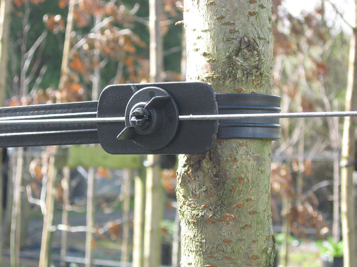 Secura Adjustable Tree Tie Collar