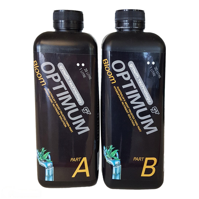 Optimum Bloom | Part A & B