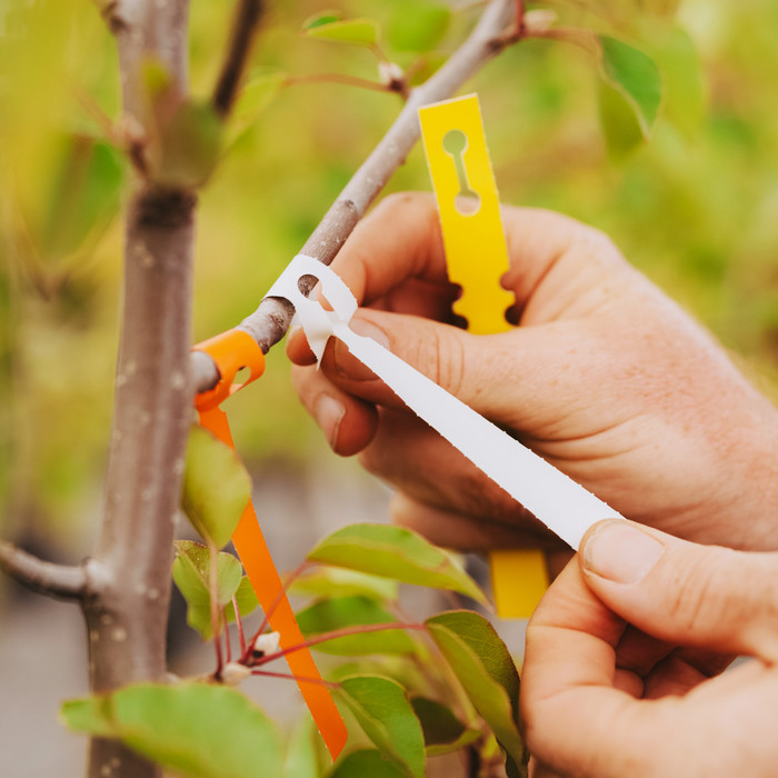 Vinyl Lock Tag Labels