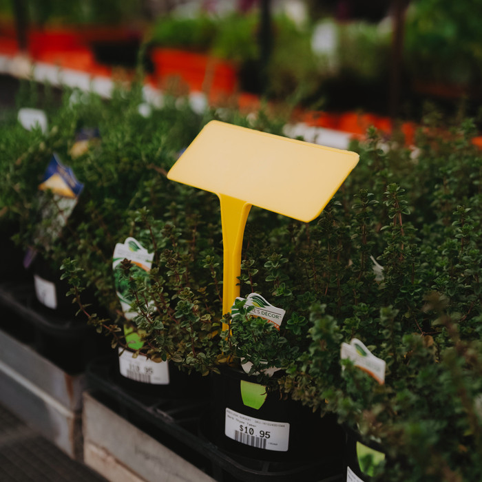 Bed Label PL5 17.8cm