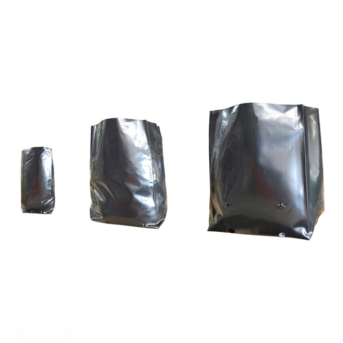 Black Polythene Plant Bag 500mmØ -  The Garden Superstore