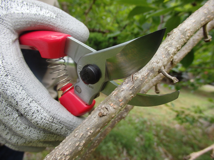 130DX Bypass Pruner
